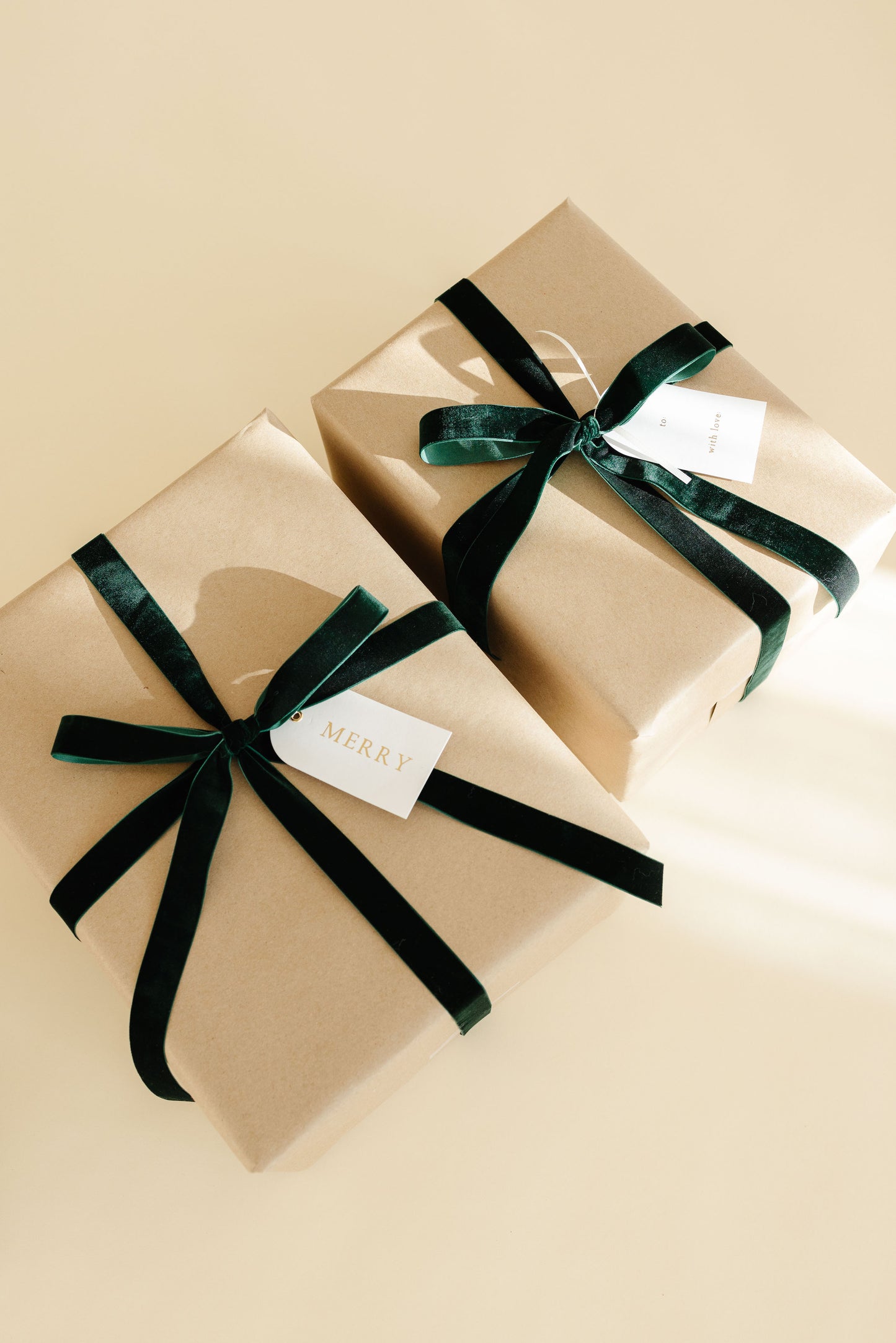 Ribbon Bundle One